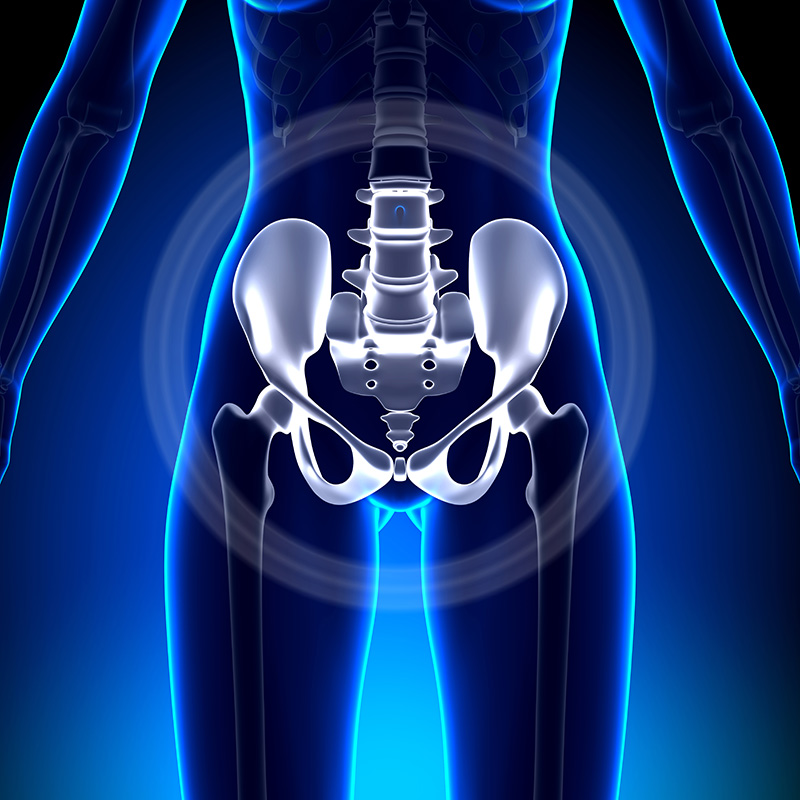 Core Therapy Pelvic Floor 3